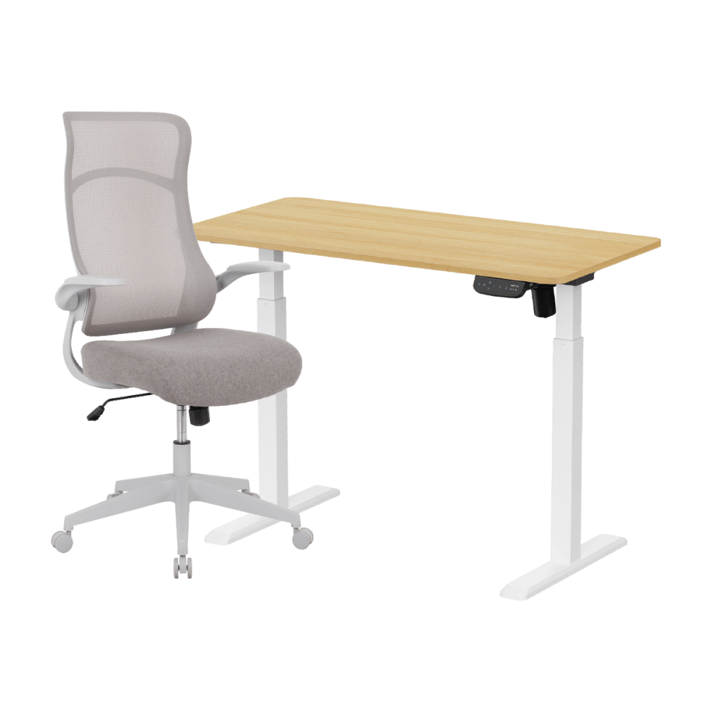 เซ็ตโต๊ะปรับระดับไฟฟ้า+เก้าอี้ทำงานเพื่อสุขภาพ LUNIO ERGO SPACE II (SIZE 120 X 60 CM) + ADAM DOT.2 ERGO CHAIR GRAVITY (สีเทา)